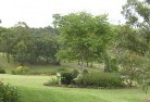Dharrukresidential-landscaping-40.jpg; ?>